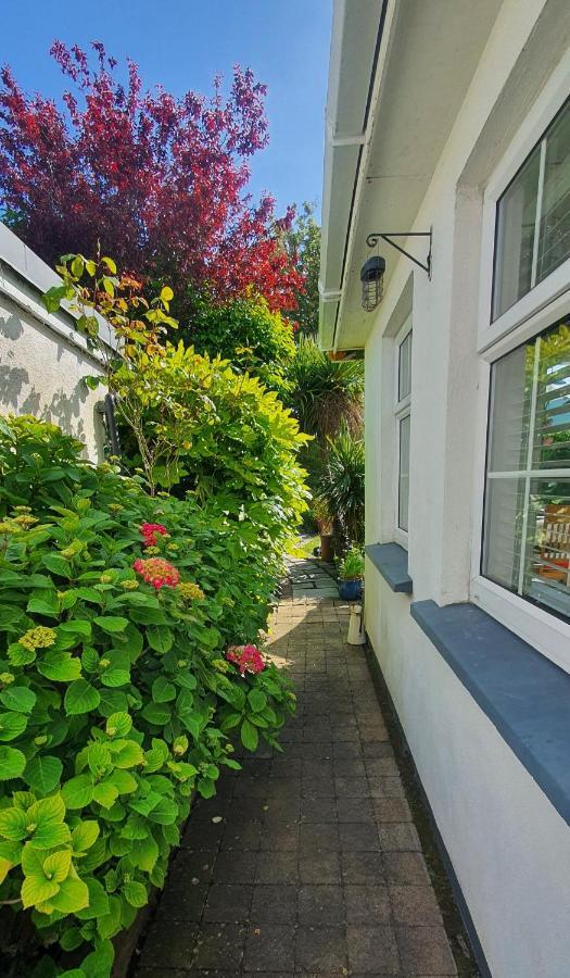 124 ,Castlelawn Heights, Headford Road Galway Homestay Exterior foto